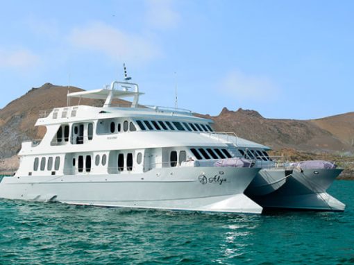 Alya Luxury Class Cruise