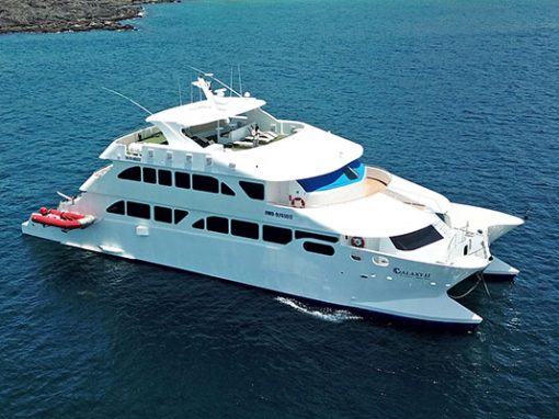 EcoGalaxy First Class Cruise