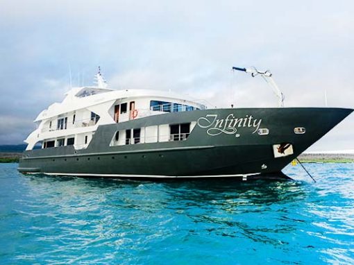 Infinity Galápagos Cruise